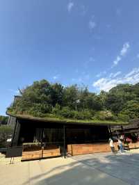 【福岡/太宰府】期間限定！今しか見れない太宰府天満宮⛩️