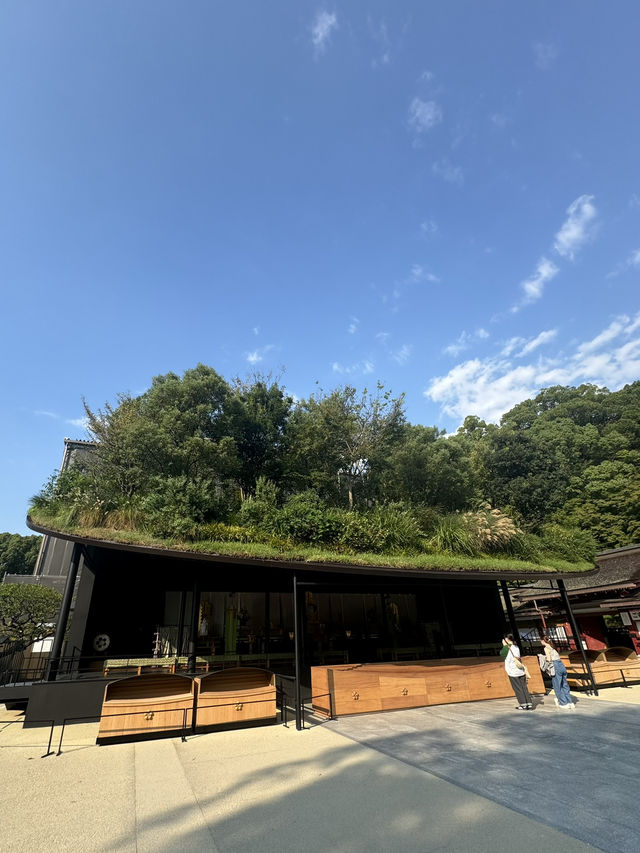 【福岡/太宰府】期間限定！今しか見れない太宰府天満宮⛩️