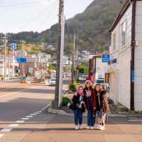 Amazing trip in Japan for chasing sakura flowers