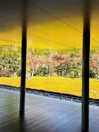 【京都宇治】極楽浄土を再現した美しさ✨世界遺産を堪能しよう