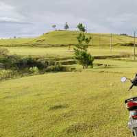 Sidihoni