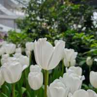 เที่ยวระยอง ชม Miracle of Natural 