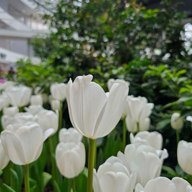 เที่ยวระยอง ชม Miracle of Natural 