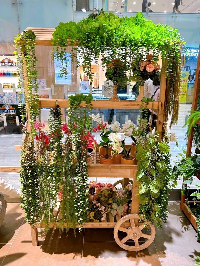 Turtle: Your Go-To-Spot for Stylish Finds in Singapore 