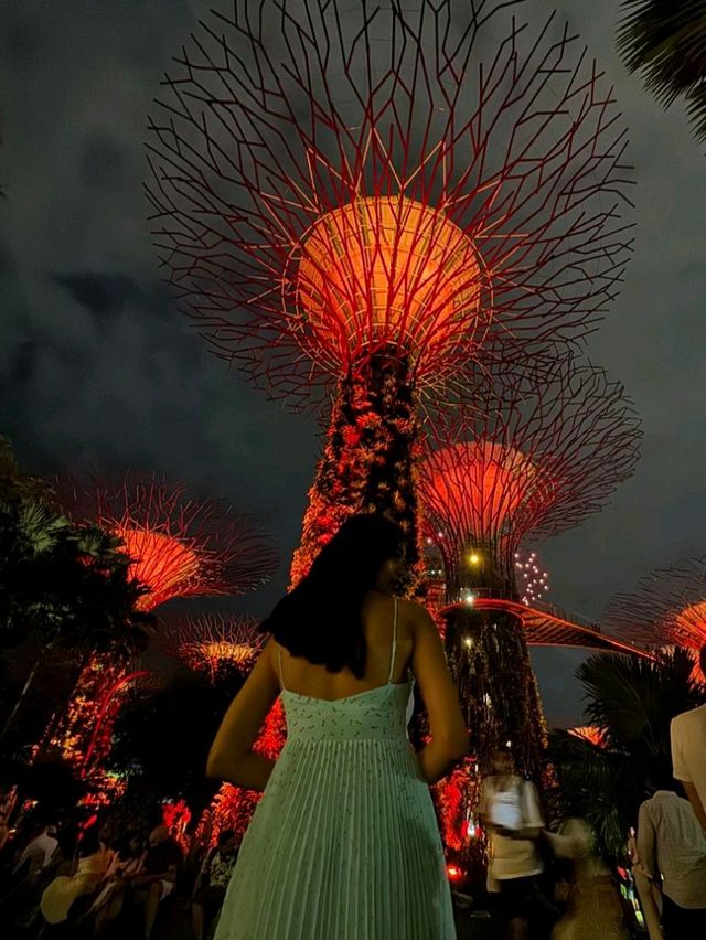 Discover the Beautiful Singapore 🇸🇬✨