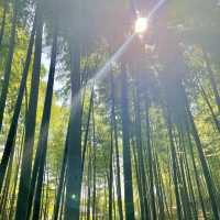 Kyoto is the best place just chill in 