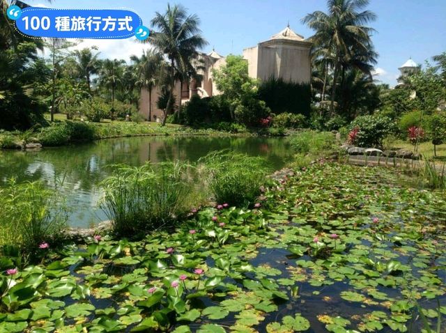 花蓮度假浪漫首選-理想大地度假村