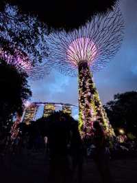 Gardens by the Bay: ชมแสงสียามค่ำคืน ✨️