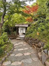 東京世外桃源—椿山莊飯店庭園漫遊指南🍃🌸
