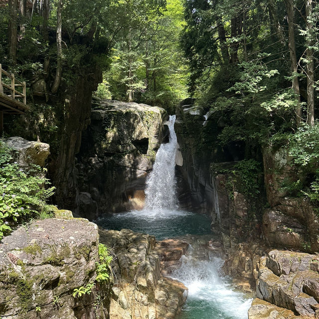 【岐阜観光】マイナスイオンで癒しの旅へ🩵