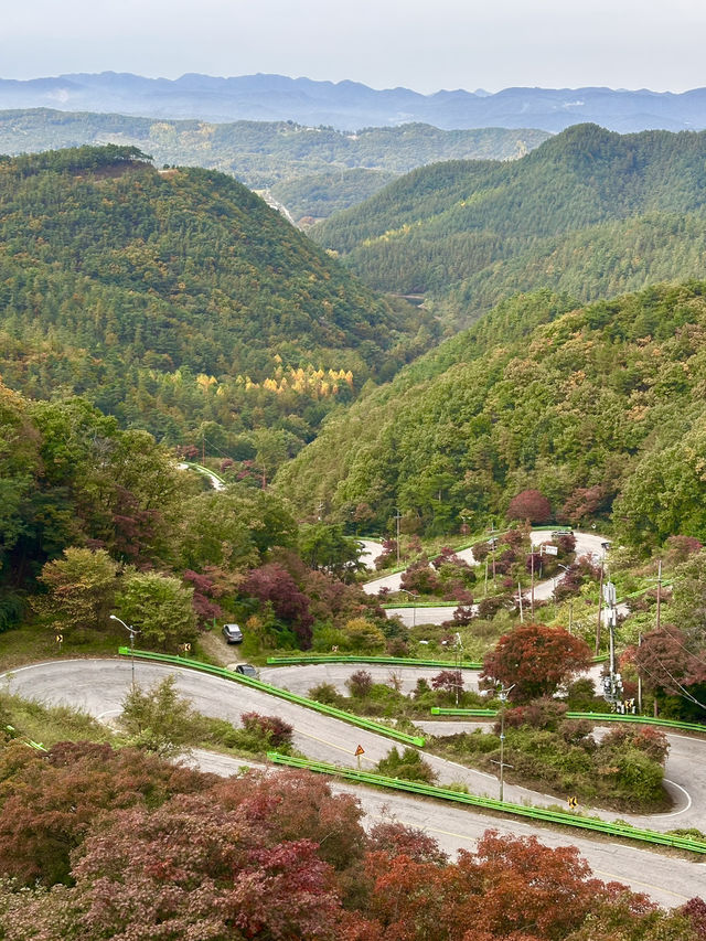 🧡낭만적인 가을, 오색빛깔 자연의 만추 풍경을 볼 수 있는 🍁가을여행추천 🍁
