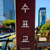청계천에서 즐기는 야외데이트