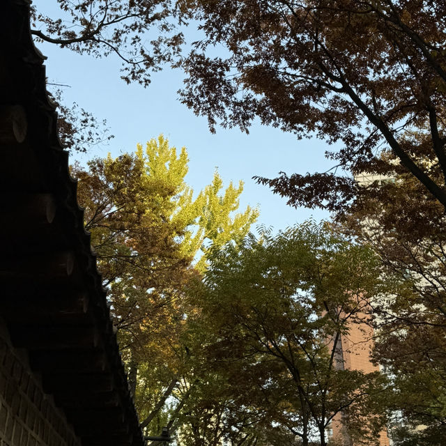 🍰 덕수궁 뷰와 함께 즐기는 달콤한 휴식, 리아제 와플더뷰! 🧇