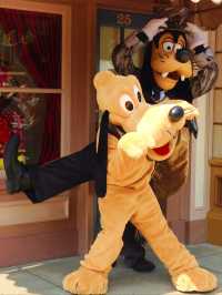 【香港ディズニーランド】日本にはないハロウィン限定イベント🎃🦇🕸