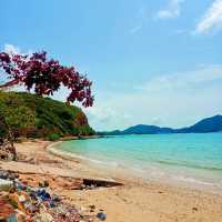 ทะเลสวย หาดเตยงาม 