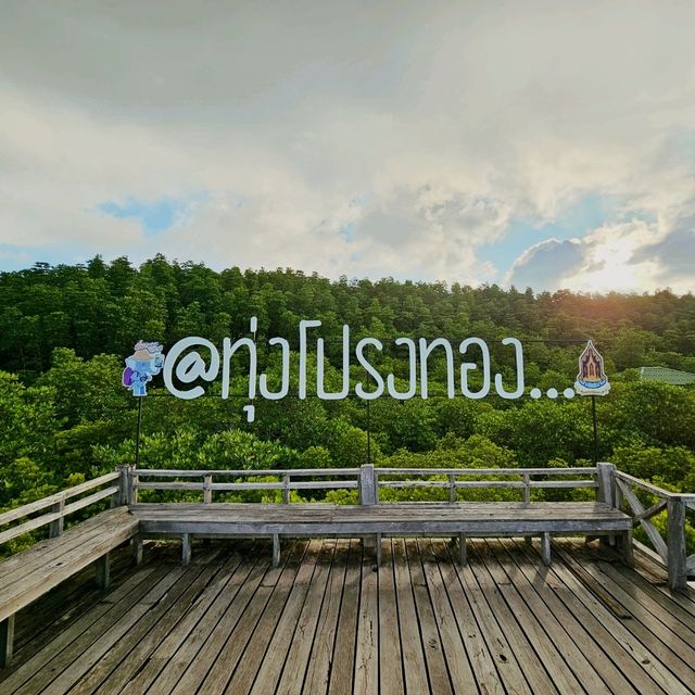 ทุ่งโปรงทอง ชมวิวเขียวขจีของธรรมชาติ