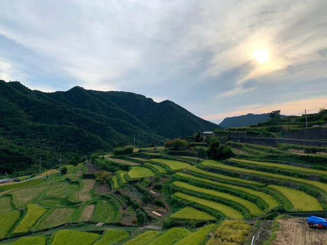 オリーブの島🫒小豆島