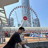 台北-香港|香港-台北(來回)