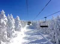 Ryuoo Ski Park ลานสกี จ.นากาโนะ