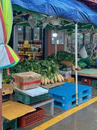 A Market Full of Warmth: Hampyeong Traditional Market