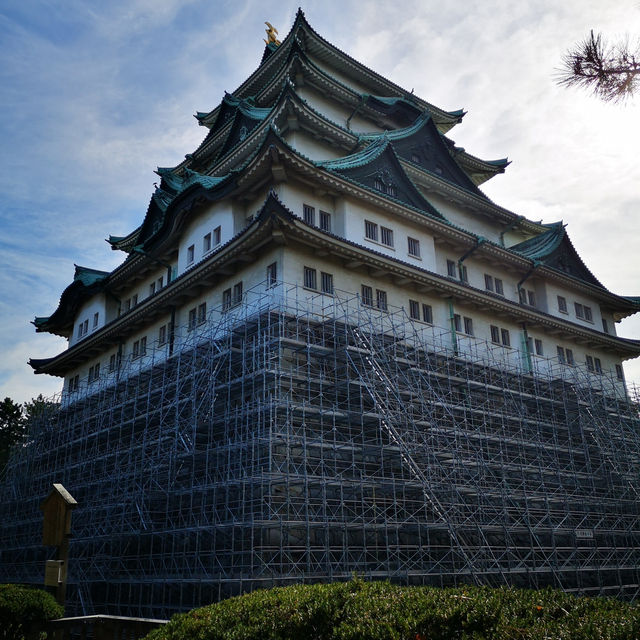 Timeless Beauty and Golden Charm: Exploring Nagoya Castle!