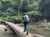 ประสบการณ์การเดินป่าใต้ | ระนอง🌳🏔️