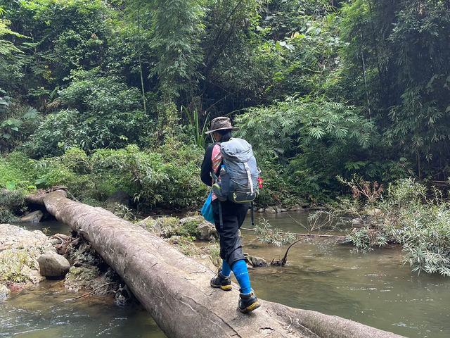 ประสบการณ์การเดินป่าใต้ | ระนอง🌳🏔️