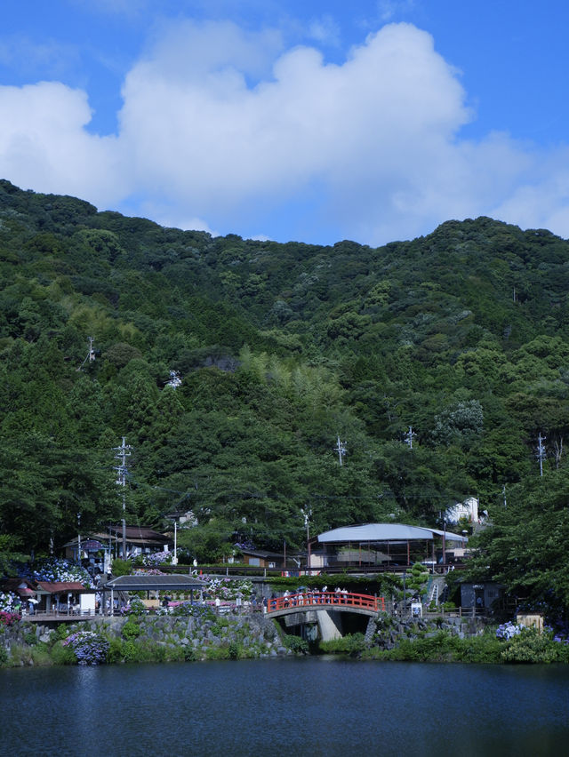 名古屋打卡聖地：形原溫泉紫陽花祭 