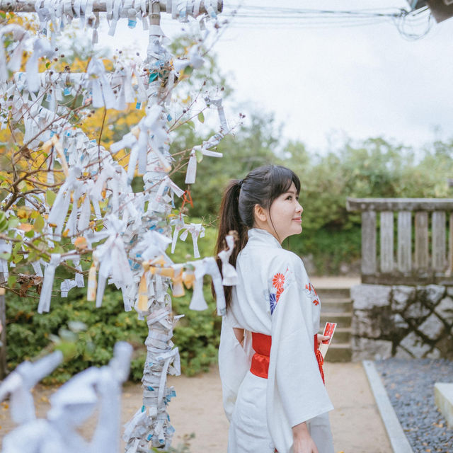 ⛩️日本米子白免神社（よなごしろめじんじゃ）🎎