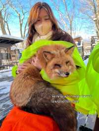 🦊 Zao Fox Village 🦊