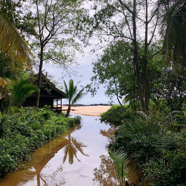 Tanjong Jara Resort: Your Dream Luxury Escape in Malaysia