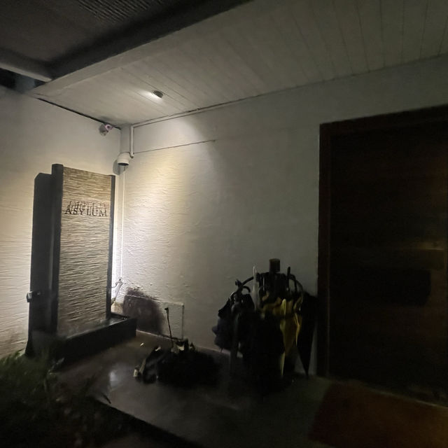 台北東區神秘酒吧 ASYLUM