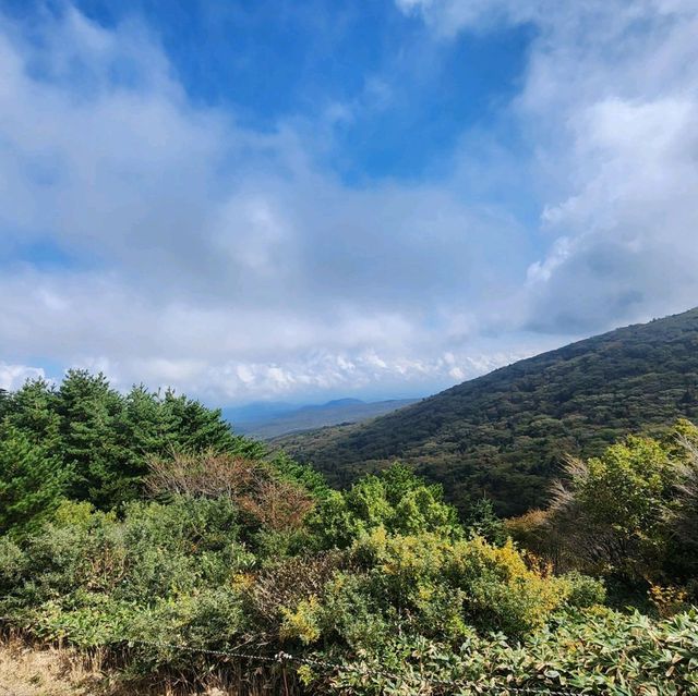 우리나라에서 가장 높은산 한라산을 가보자