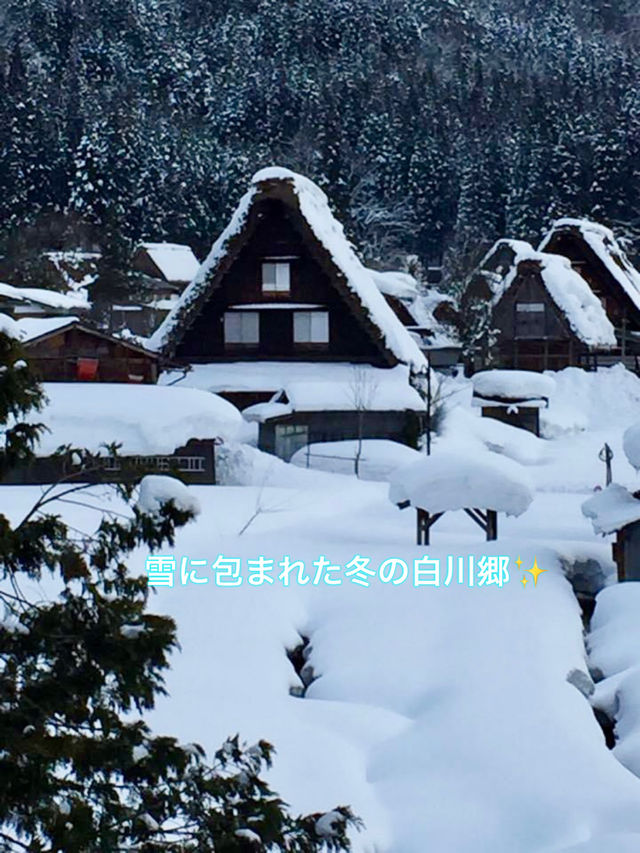 【岐阜】神秘的で幻想的かつ実用的✨冬の白川郷✨