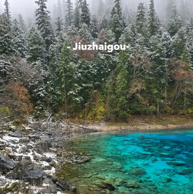 在九寨溝欣賞多色湖的壯麗景色