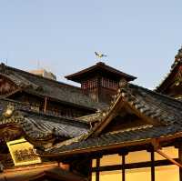 🇯🇵【愛媛県】日本最古の温泉♨️道後温泉本館へ行こう！！！(^^)
