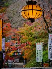 【ここ行って】紅葉のシルエット写真を狙え📸絶対行きたい紅葉スポットを紹介🍁撮影攻略付き