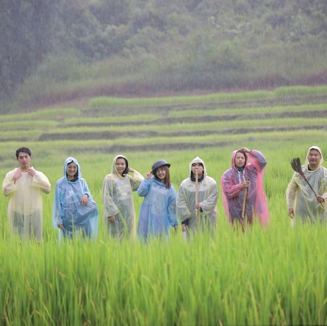 ดูเลเล doolay (บ้านดอย) จ.เชียงใหม่