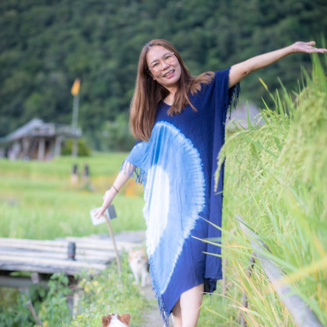 นาขั้นบันได นาขั้นบันได