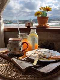 濟州島必去 摘柑橘🍊Cafe！