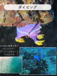 【久米島】おすすめSPOT7選！