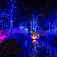 เขาใหญ่มีจัดแสดงไฟด้วยนะ สวย สนุกมาก