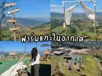 ฟาร์มแกะในอากาศภูทับเบิก จ.เพชรบูรณ์