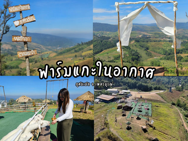 ฟาร์มแกะในอากาศภูทับเบิก จ.เพชรบูรณ์
