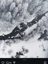 The Landwasser Viaduct: A Winter Marvel in Switzerland