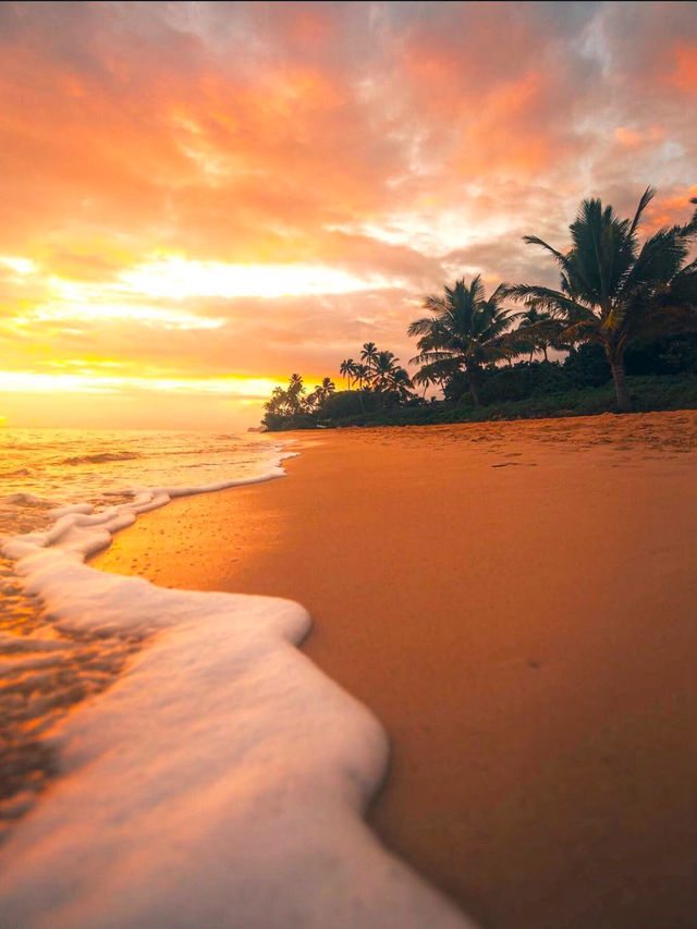 🔥What Time Is It? The Golden Hour in Hawaii (AKA, Pure Magic)🔥