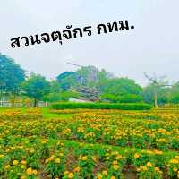 สวนสวย จตุจักร