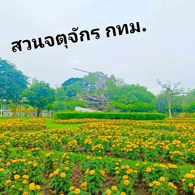 สวนสวย จตุจักร
