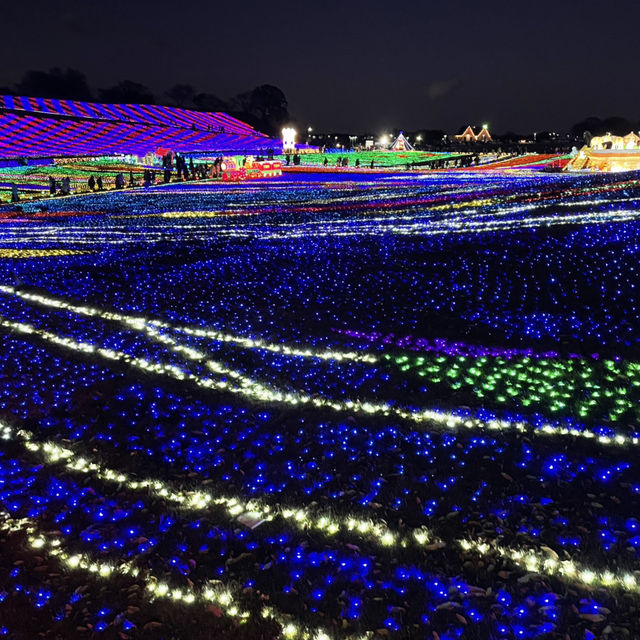 東京ドイツ村・ウィンターイルミネーション🎄