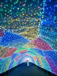 【見所は2つの観覧車！🎡】よみうりランド60周年のイルミネーションがアートで美しすぎる！！💎